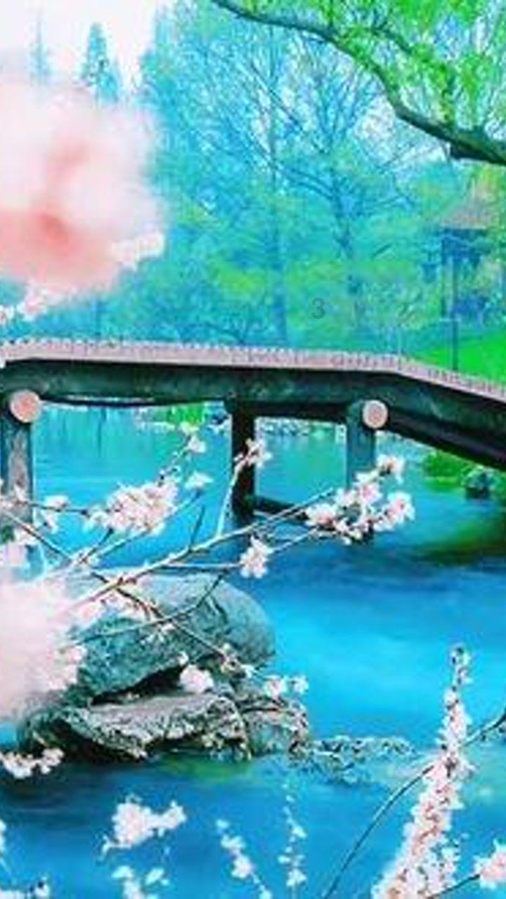 异形：隔离